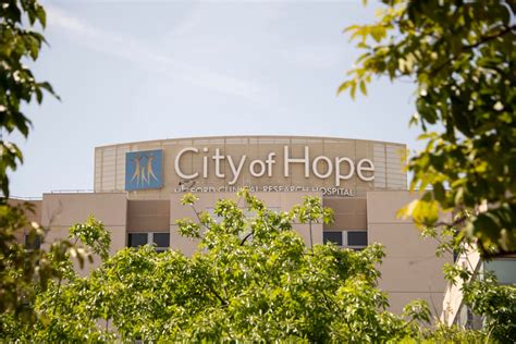 city of hope etc|city of hope oncology doctors.